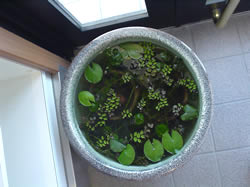 DSC04713.jpg